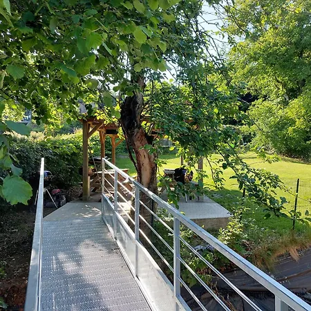 Holiday home Modern Group In Bra Lierneux